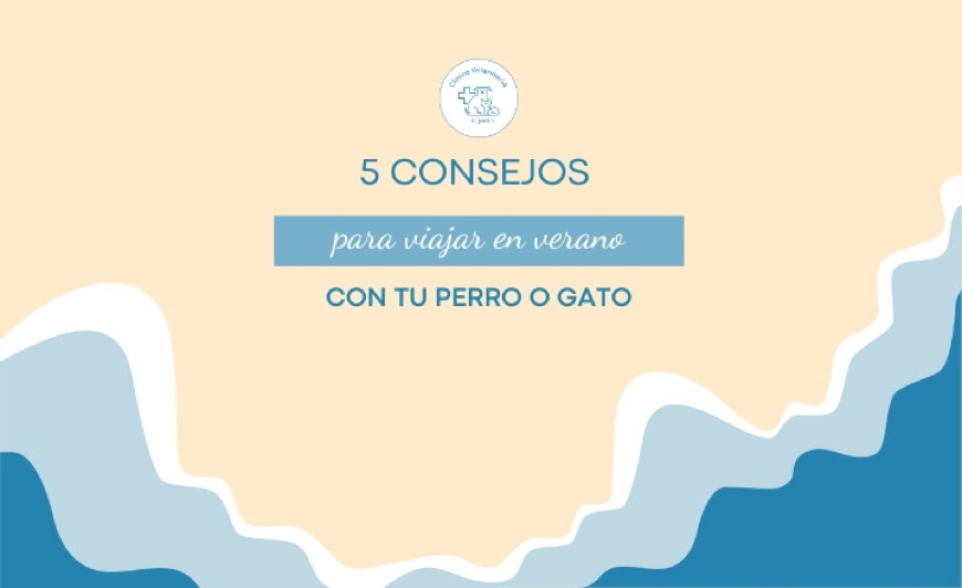 Dibujo de una ola en la playa con el logo de la clínica veterinaria el jardín y el título de 5 consejos para viajar en verano con tu perro o gato